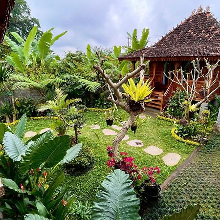 Jane'S House & Spa Bedugul Bali Pacung Экстерьер фото